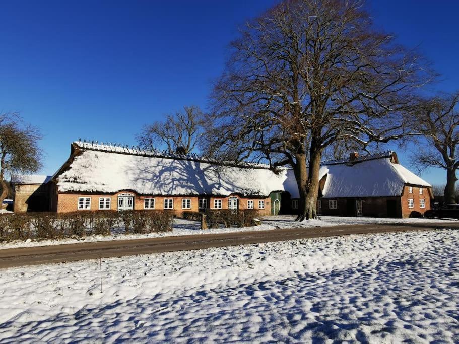 Hof Osterfeld Apartment Mittelangeln Bagian luar foto